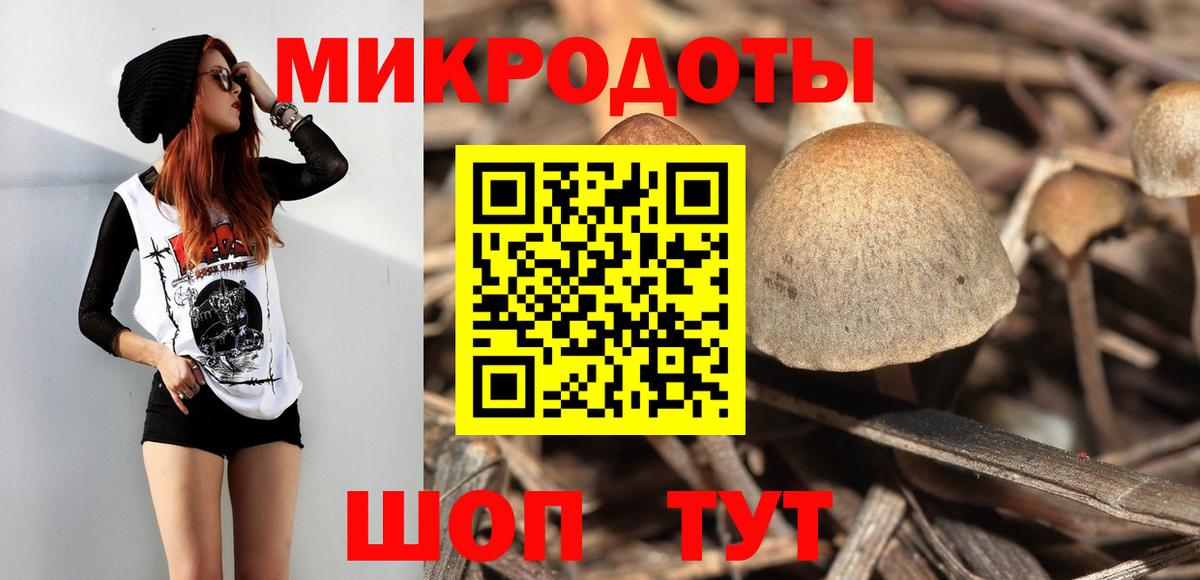 Псилоцибиновые грибы мицелий Жуковский