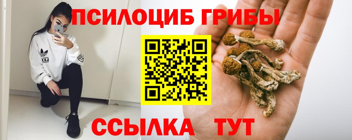 Псилоцибиновые грибы MAGIC MUSHROOMS  Вход с VPN  Жуковский  где купить наркоту  Галлюциногенные грибы мухоморы 